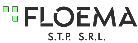 //gruppomaet.it/wp-content/uploads/2024/02/LogoFloema.png